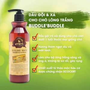 dầu gội và xả Budle